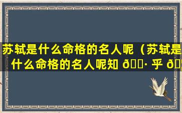 苏轼是什么命格的名人呢（苏轼是什么命格的名人呢知 🌷 乎 🦅 ）